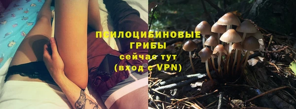 синтетический гашиш Новозыбков