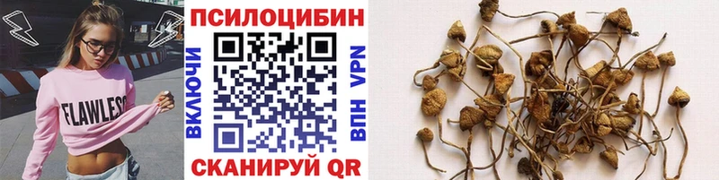 продажа наркотиков  Подпорожье  Галлюциногенные грибы MAGIC MUSHROOMS 